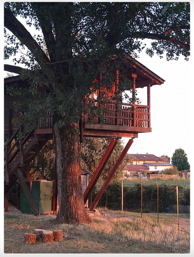 La Casa Sull'Albero Oasi Certosa Di Pavia Villa Borgarello Buitenkant foto