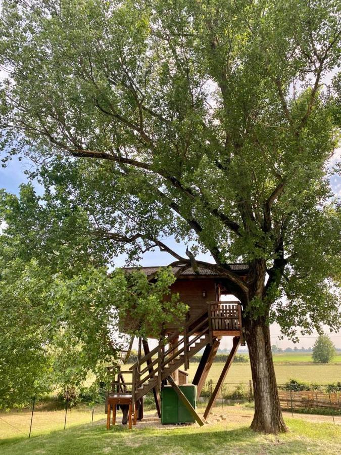 La Casa Sull'Albero Oasi Certosa Di Pavia Villa Borgarello Buitenkant foto