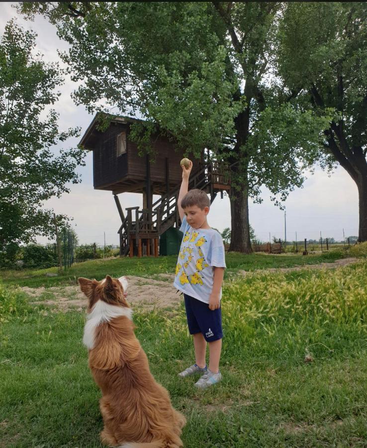 La Casa Sull'Albero Oasi Certosa Di Pavia Villa Borgarello Buitenkant foto