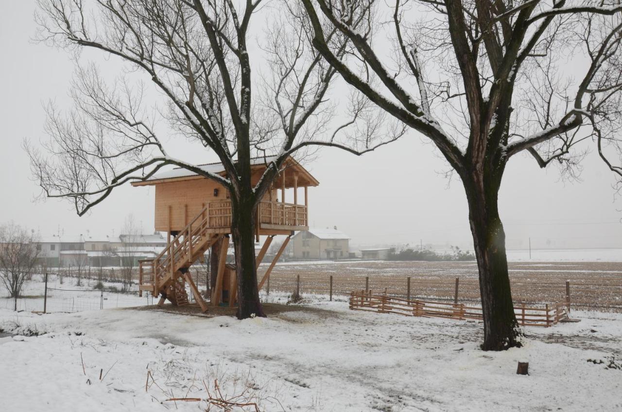 La Casa Sull'Albero Oasi Certosa Di Pavia Villa Borgarello Buitenkant foto
