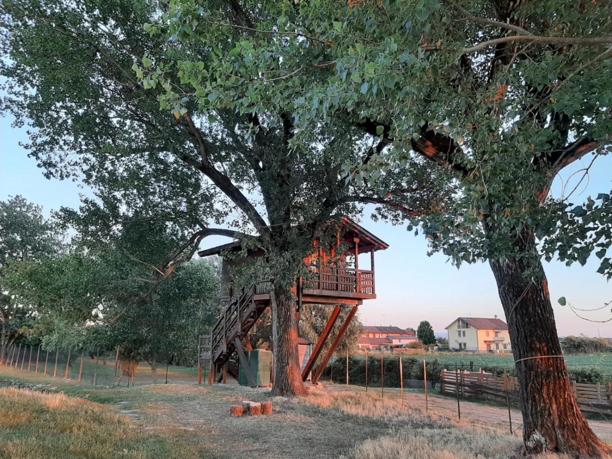 La Casa Sull'Albero Oasi Certosa Di Pavia Villa Borgarello Buitenkant foto