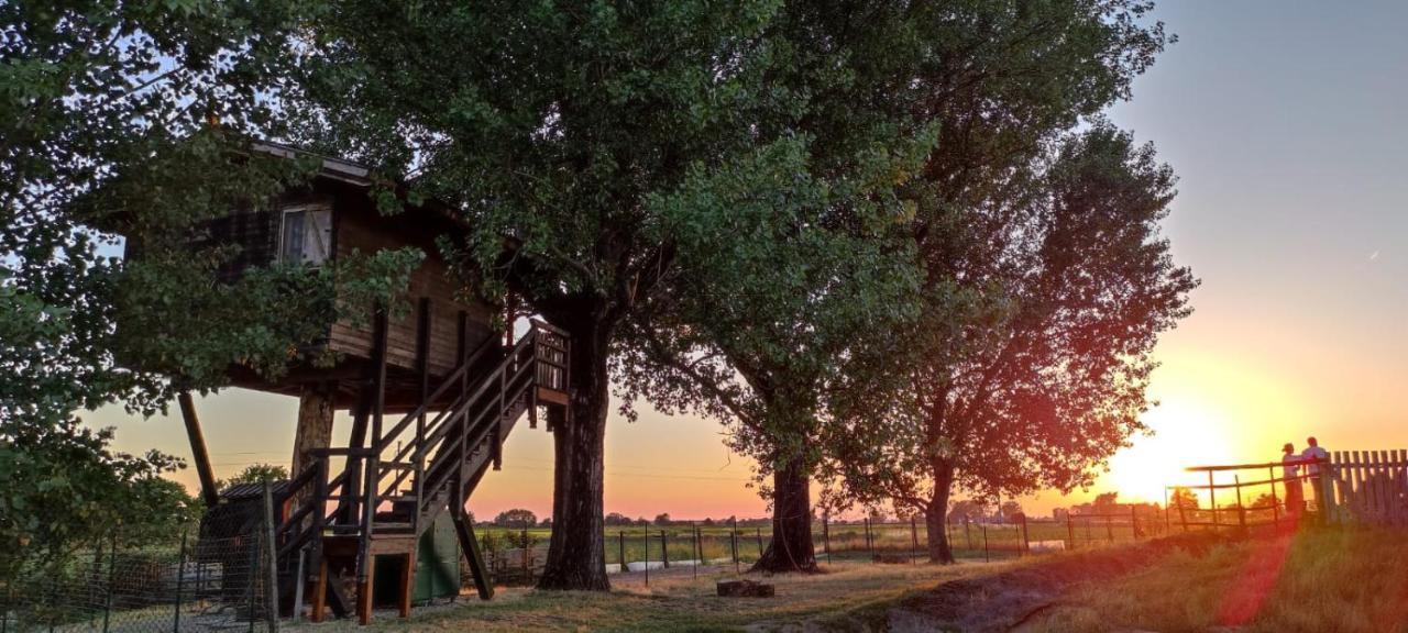 La Casa Sull'Albero Oasi Certosa Di Pavia Villa Borgarello Buitenkant foto